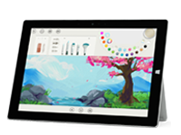 浩口原种场Surface 无法开启、Windows 无法启动或电池无法充电